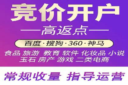 知名SEM运营公司实战案例解析